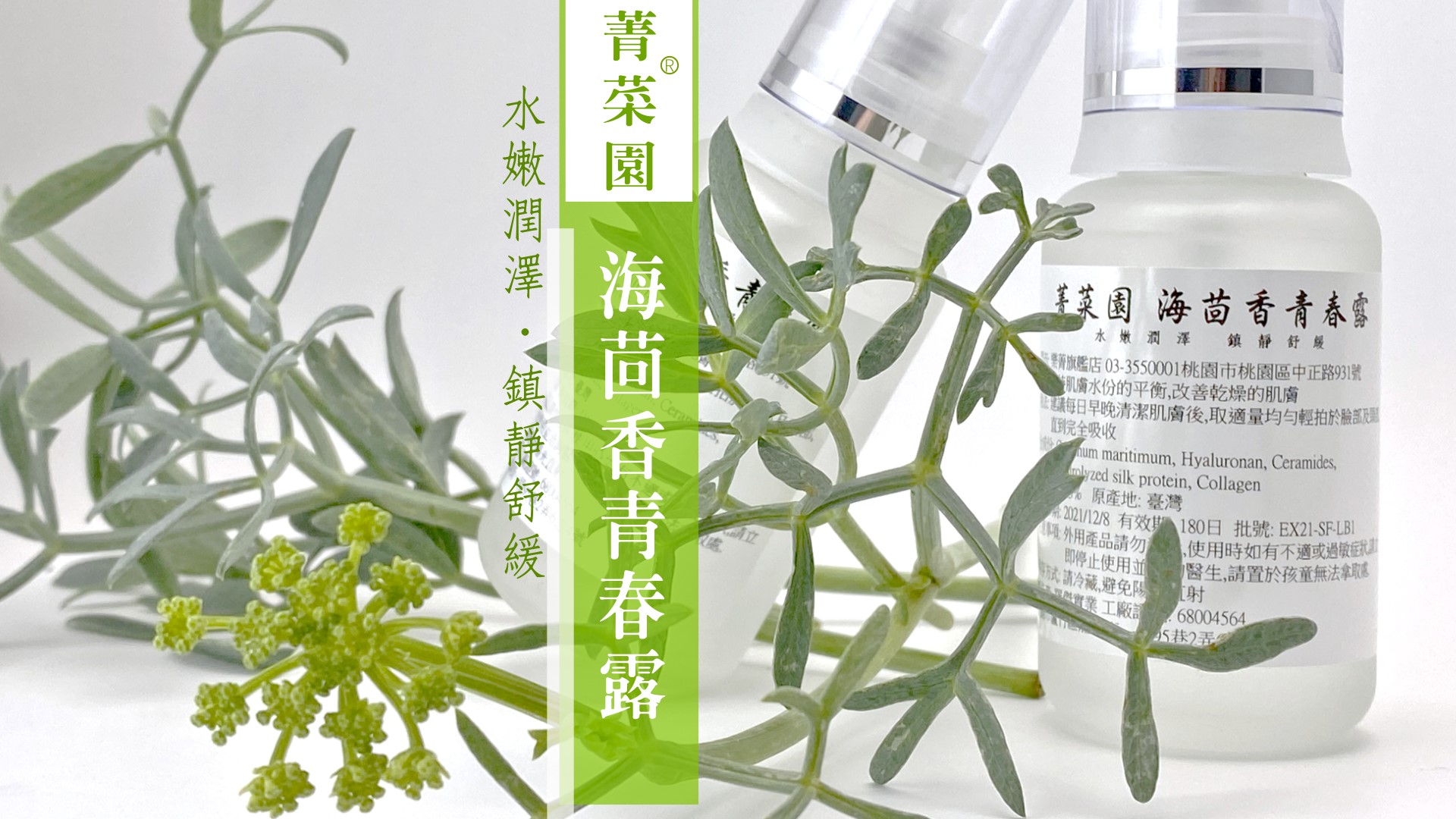 海茴香青春露